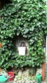 /album/rodinny-dom-s-velkym-pozemkom-a-ovocnym-sadom-travnica-cena-84000EUR/img-0695-jpg/